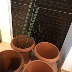 【予定者決定済み】植木鉢4つ、受け皿4つ、支柱、全てお譲りします。