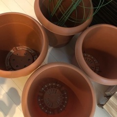 【予定者決定済み】植木鉢4つ、受け皿4つ、支柱、全てお譲りします。の画像