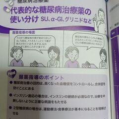 医療系勉強仲間募集♪ - 神戸市