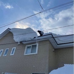 江別・南幌・岩見沢・厚別区スポット排雪承ります☆軽トラック カーポート雪下ろしもお見積り可能です！ - 便利屋