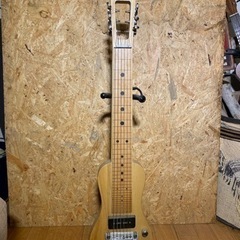 SX スティールギター