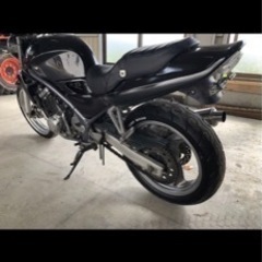 バリオス1型