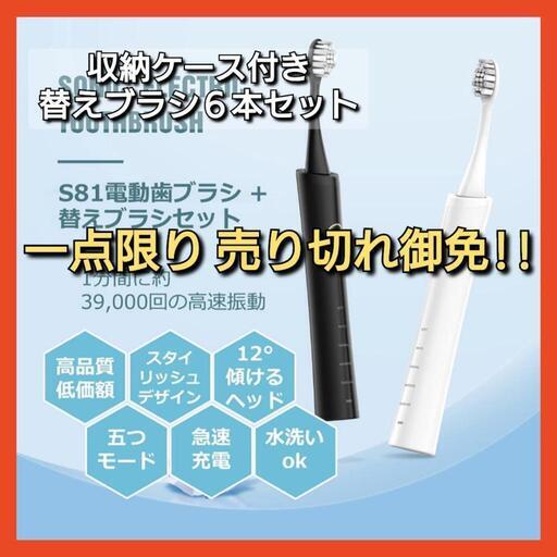 電動歯ブラシ 6本替えブラシ 収納ケース付き 防水 歯間 歯石除去 ブラック