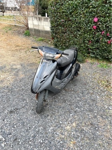 461. 動画あり　ホンダ　ライブディオ　2スト　原付　バイク　50cc   車体