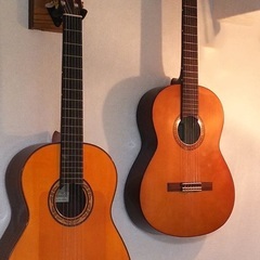 音楽と語学のユニークなオンラインスクールですの画像