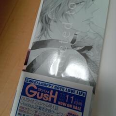 BLコミック 2冊セットの画像