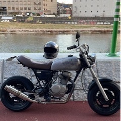 エイプ50 の画像