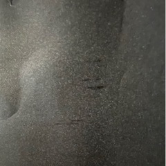 トレーナー　の画像