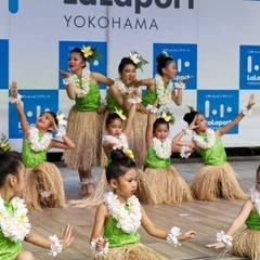 【京都駅ケイキフラ・親子フラ】🌺Nā ʻĒheu o KaʻIwa Haʻa i ka Lani🌺の画像