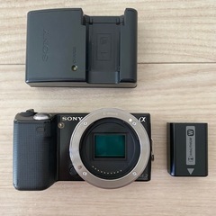 ★21日までお値下げ‼︎ レンズなし★  SONY一眼レフ　本体...