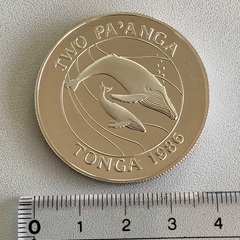 トンガ　国連環境保護組織創立25周年大型記念銀貨