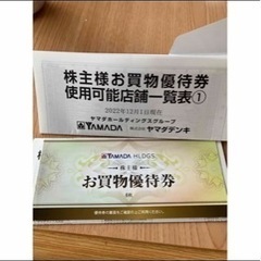 ヤマダ電機株主優待3,000円分の画像