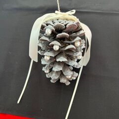 大きな大きなまつぼっくりの画像
