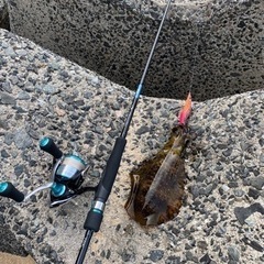 釣り友達が欲しい。。。