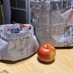 新聞紙　袋　ゴミ箱　大10枚　小10枚
