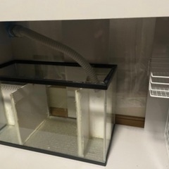 90×45×45 のアクリルオーバーフロー水槽の画像