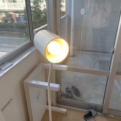照明