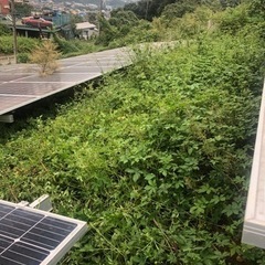 草刈りしてくれる方募集！日当5万の画像