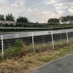 草刈りしてくれる方募集！日当5万の画像