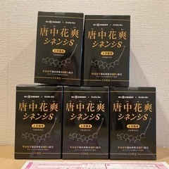 漢方冬虫夏草サプリメント　5箱