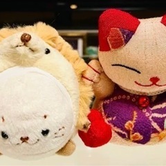 🐶🐱動物のぬいぐるみ🧸🦭９点セット❣️の画像