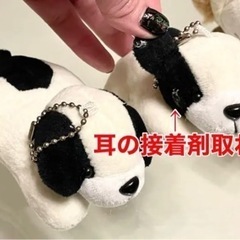 🐶🐱動物のぬいぐるみ🧸🦭９点セット❣️の画像