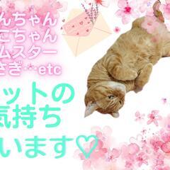 ペットの気持ち占います！タロットでわかるペットの気持ち