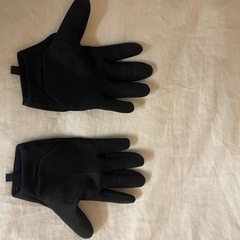 the north face グローブの画像