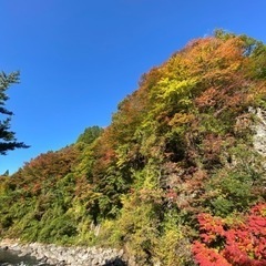 キャンプ場準備、力仕事手伝って
