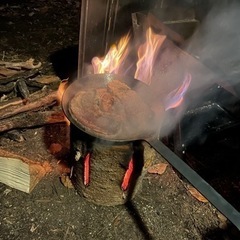 スウェーデントーチ（針葉樹）の画像