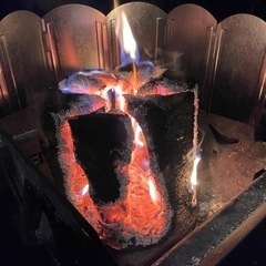スウェーデントーチ（針葉樹）の画像