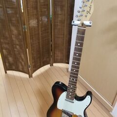 Fender Telecaster USA highway one