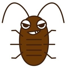 デュビア　約4㎝　ペット用餌　ゴキブリ