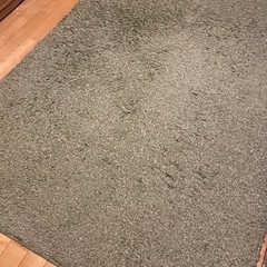 グリーン ラグ
