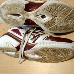 アシックス　バスケットボールシューズ　27センチの画像