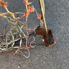 バスケットのゴールの画像