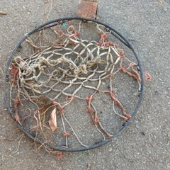 バスケットのゴール