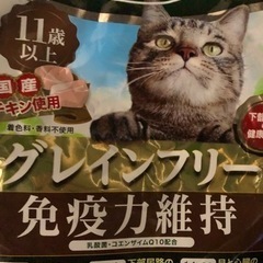 【地域猫】餌やりさんをご存じの方を探しています