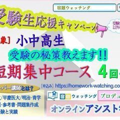 【オンラインー全国可】≪小学生対象: 入試直前講習受付中！ by 宿題ウォッチング≫の画像
