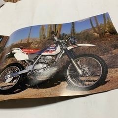 ホンダ Super XR250 / BAJA、1995年 国内カタログの画像