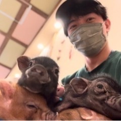 東村山市内で家庭教師やります！筑波大卒/TOEIC965の画像