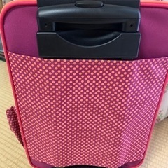 【美品】レッシグ　キッズバッグ　キャリーバッグの画像