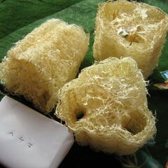 無農薬ヘチマタワシ３つ＆種１０粒