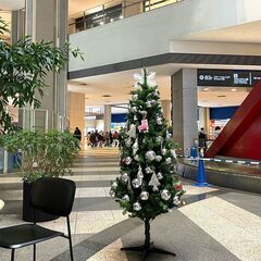 今夜12/16(金)19：00 -開催 *女性主催* みなとみら...