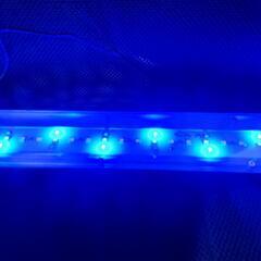 値下げ‼️GEX LEDライトの画像