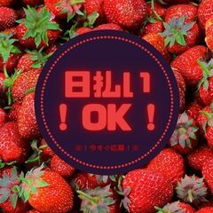 ＜＊回送ドライバー大募集＊＞未経験スタートOK♪高月収31万円以...