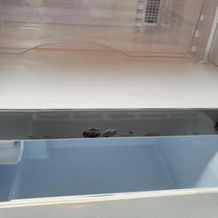 2010年製造SANYO３ドア冷凍冷蔵庫 SR-261T(S) の画像