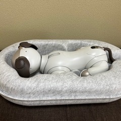 SONY AIBO ERS-1000　中古美品の画像