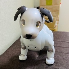 SONY AIBO ERS-1000　中古美品の画像