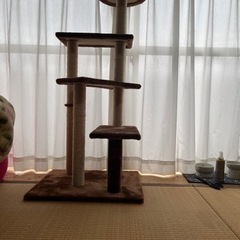 キャットタワー4段茶色【取引中です】の画像